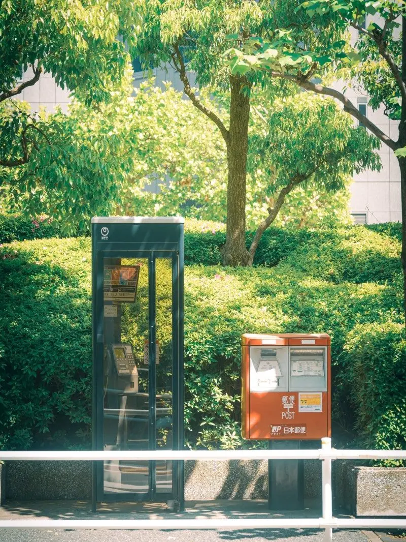 sia7575의 あまりにも眩しかった君へ