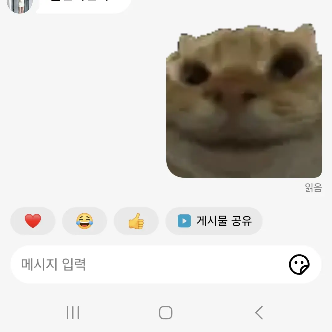 TameHooks6365의 빵빵이