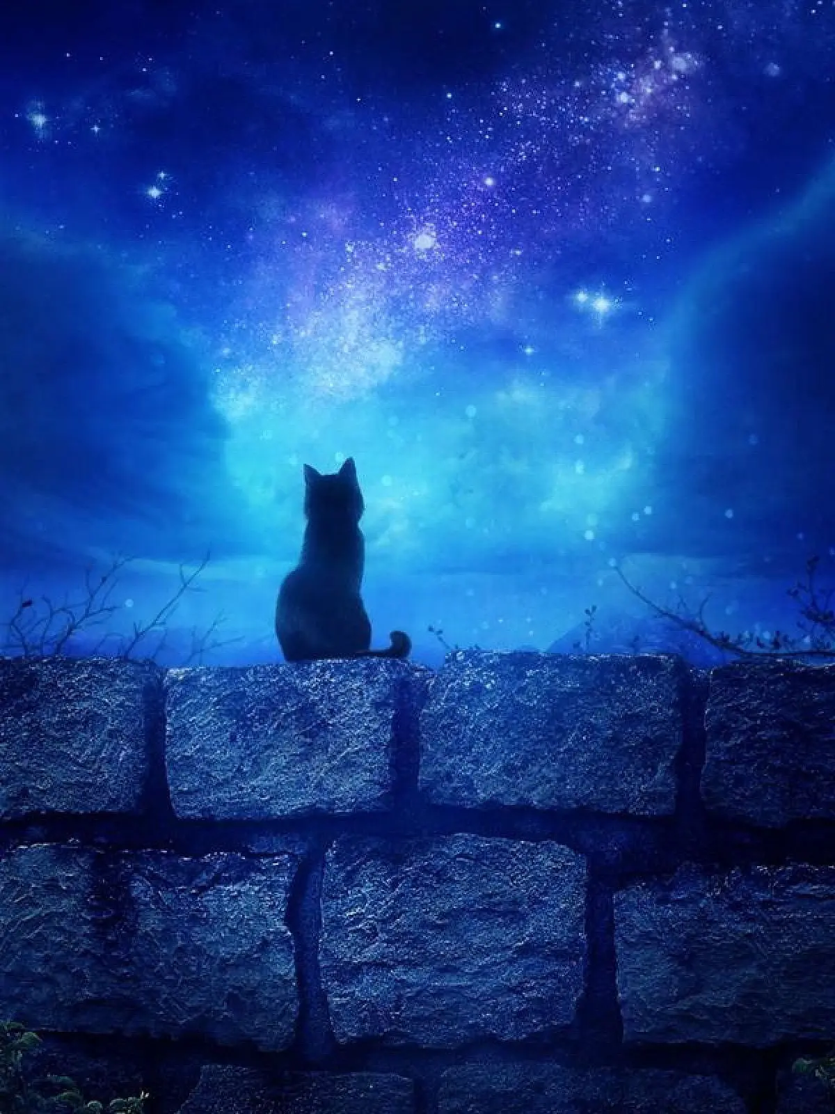 WiseNewt9240의 君を溺愛してる僕たち。