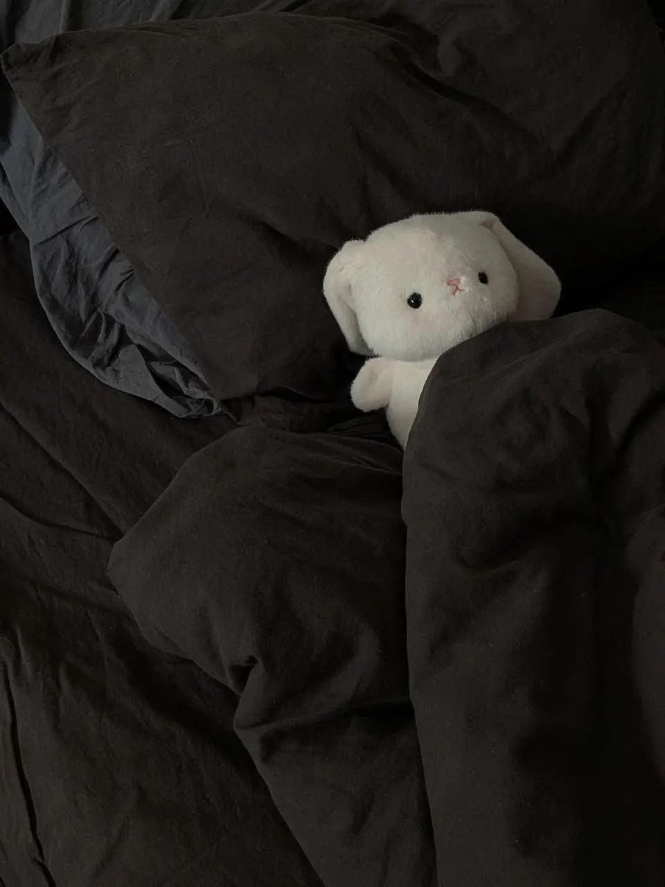 aa_96의 うさぎの獣人なあなた