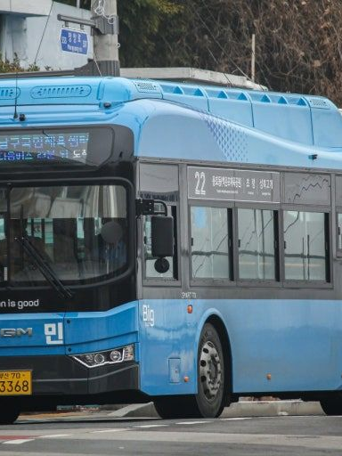 (팔로우 40개)사춘기가 온 일렉시티 대표 이미지