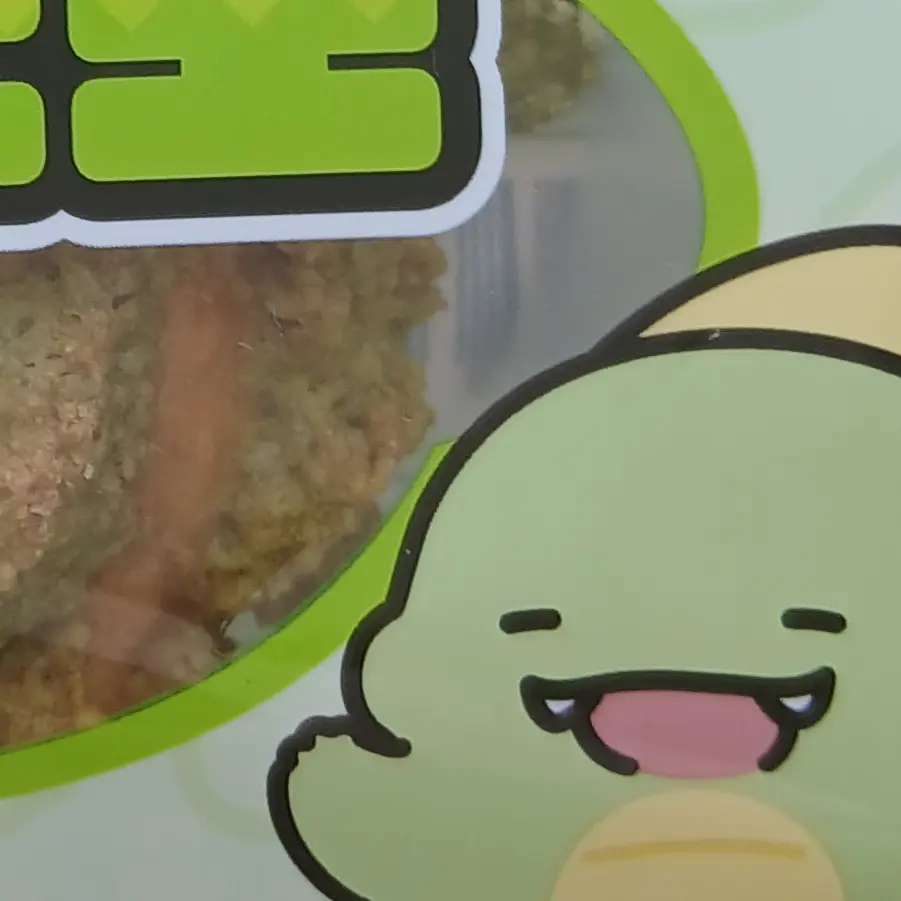 Wood0223의 정공룡