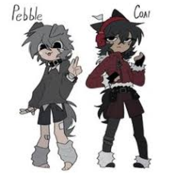 콜 & 페블 대표 이미지