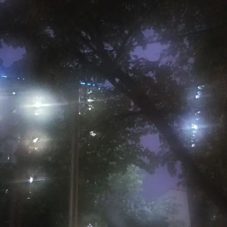 Yejin0511의 김도영