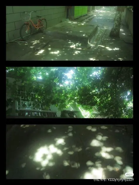 LonelyDinosaur0911의 Slime Syndrome