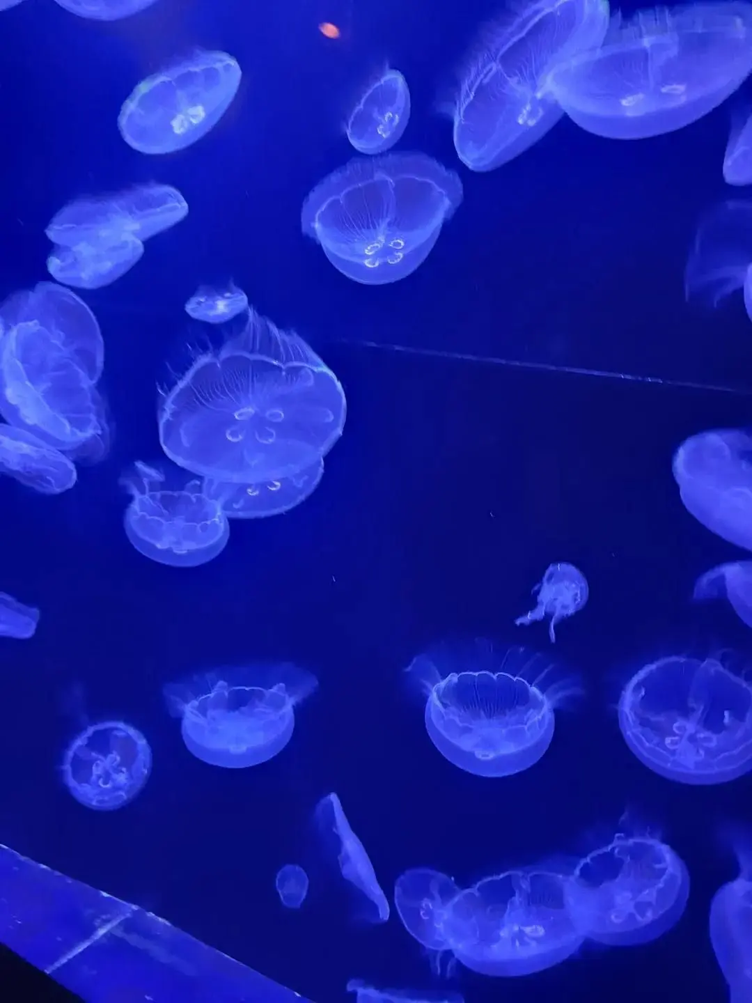 lfqc2n의 救ってくれ。