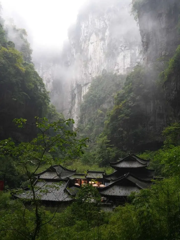 030856의 Tian Dynasty