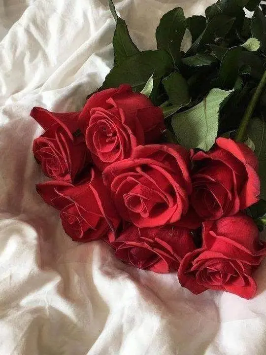 HerbalRate3012의 너를위한선물