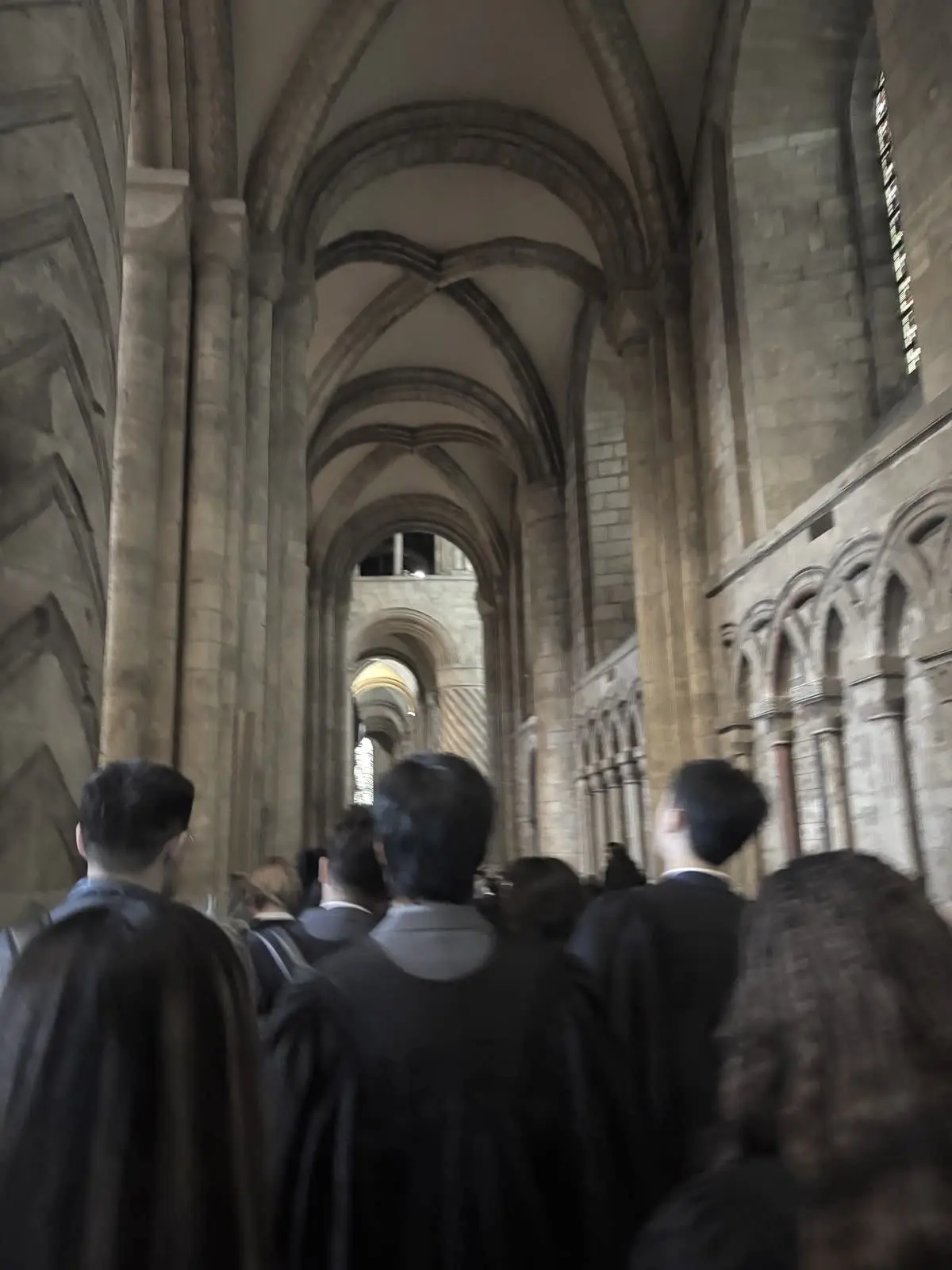 PaddedFob7051의 Hogwarts high school AU