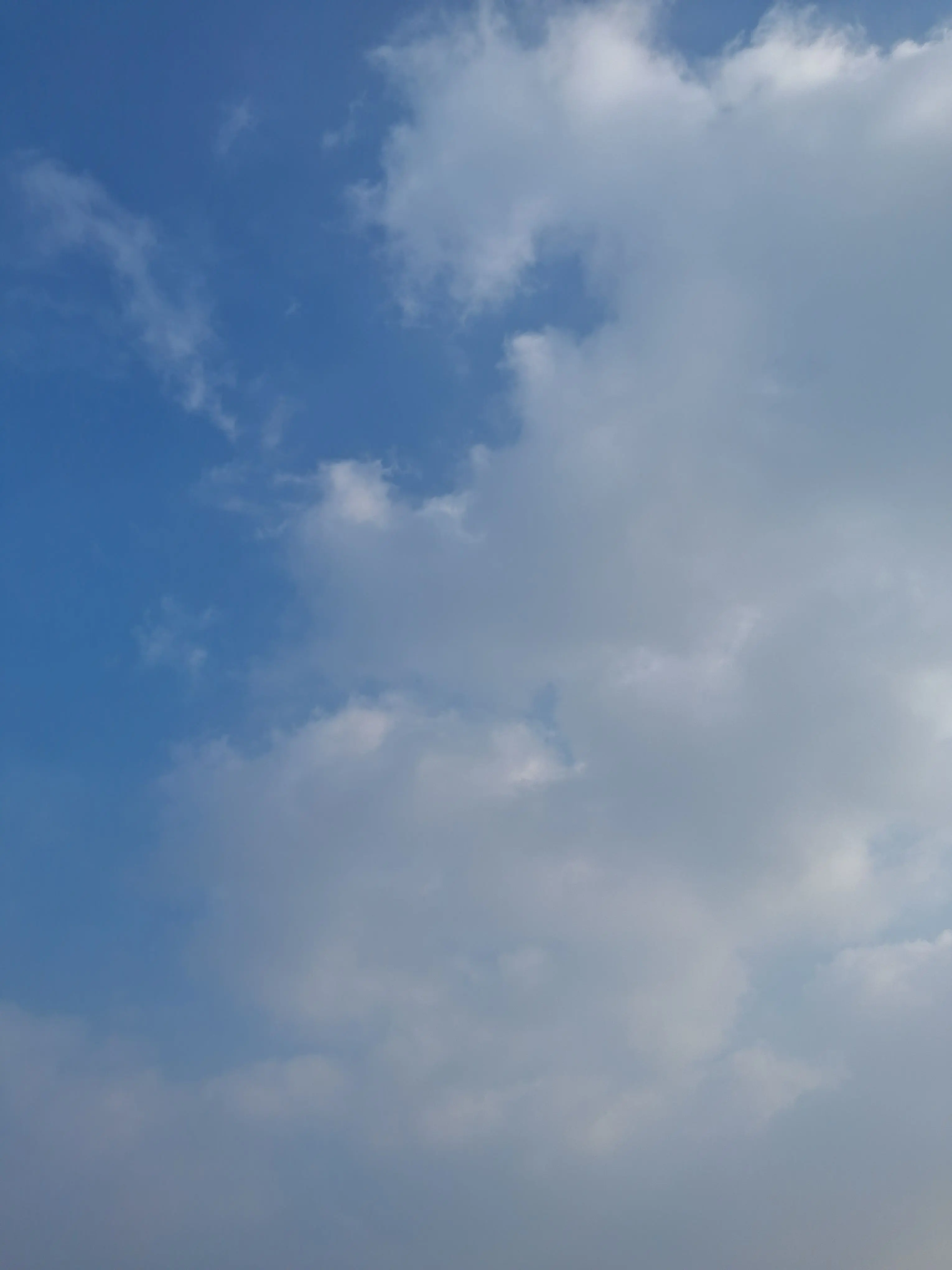 JJLR27142521의 졸업 후, 후배들을 만난다면?