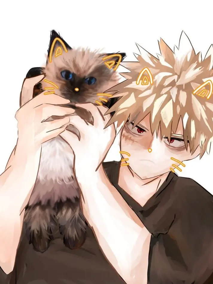 sakidetachmentqueen의 katsuki bakugo