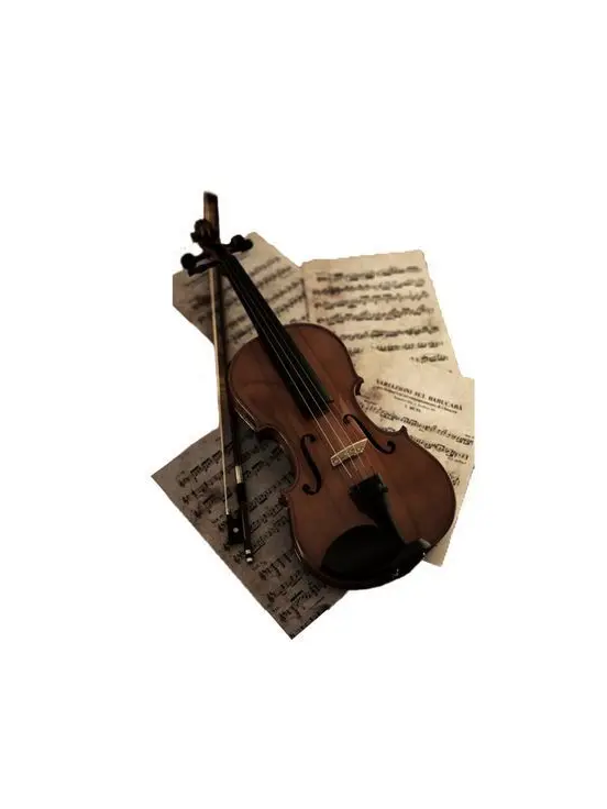 Hongyam의 수많은 노력과 단 하나의 재능