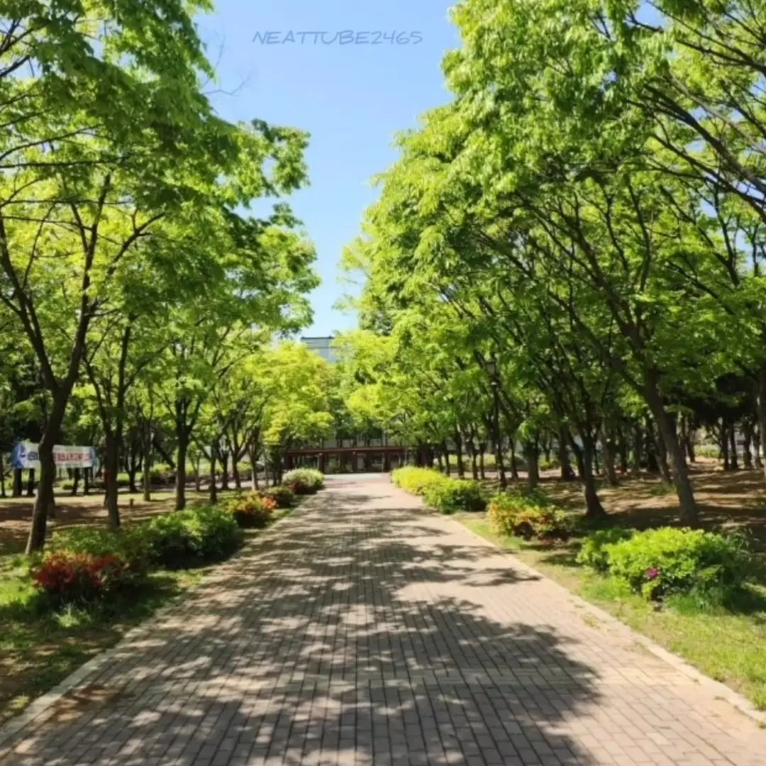 NeatTube2465의 속은 너 잘못이지.