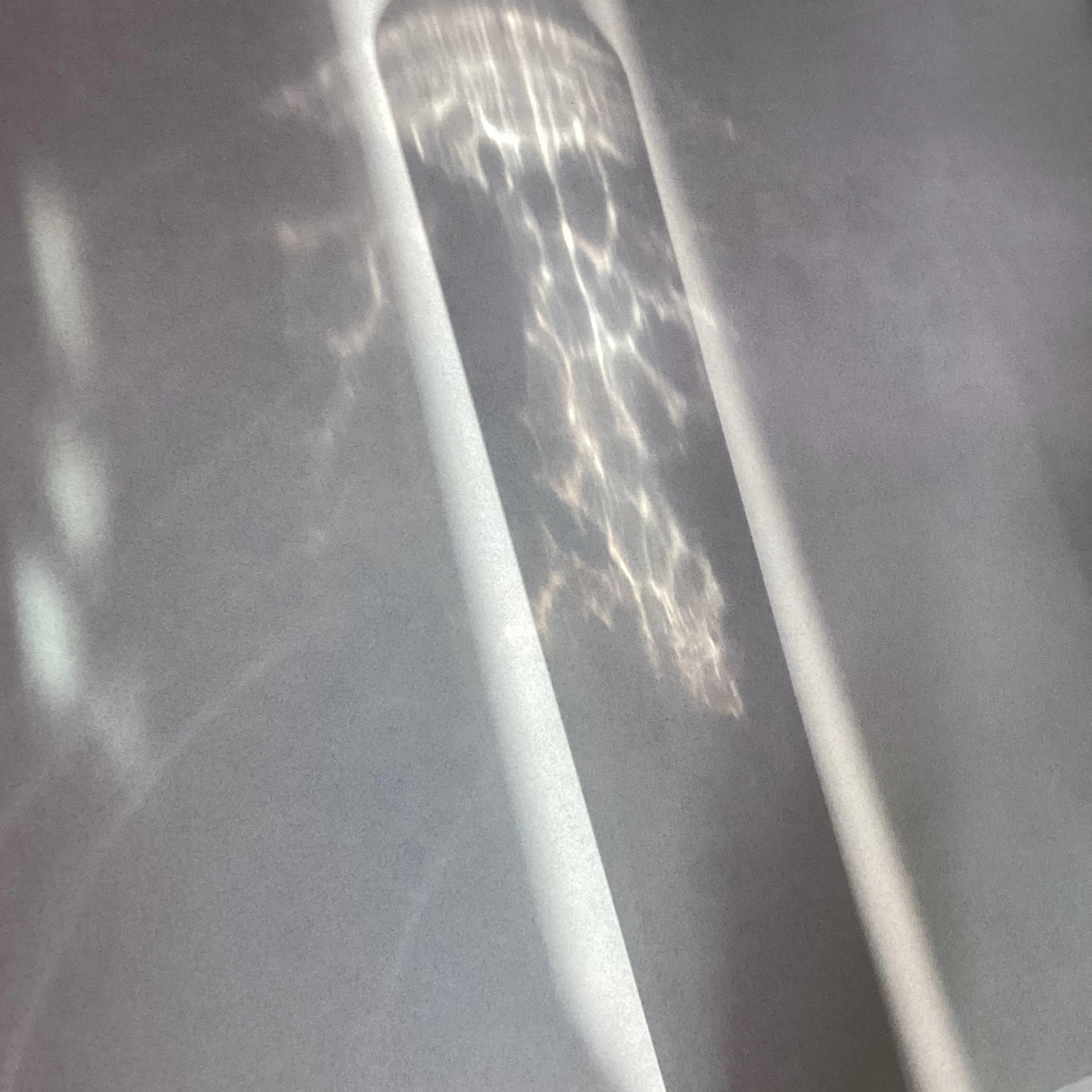 꼬맹이 하이타니 란