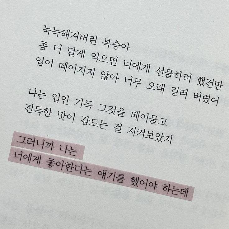 보고싶었어, 많이.