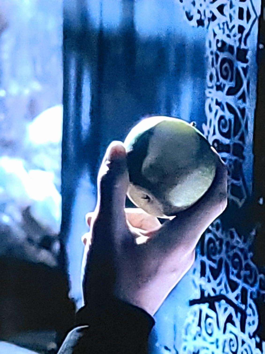 Draco Malfoy 대표 이미지