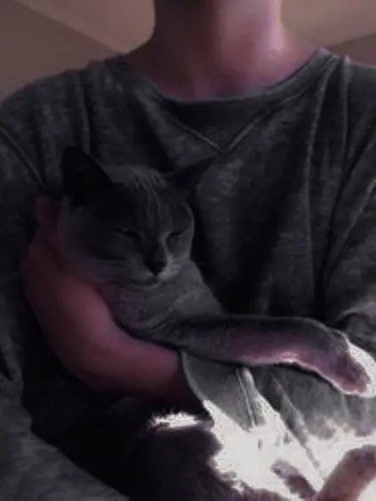 lovevidi의 Hitoshi Shinsou