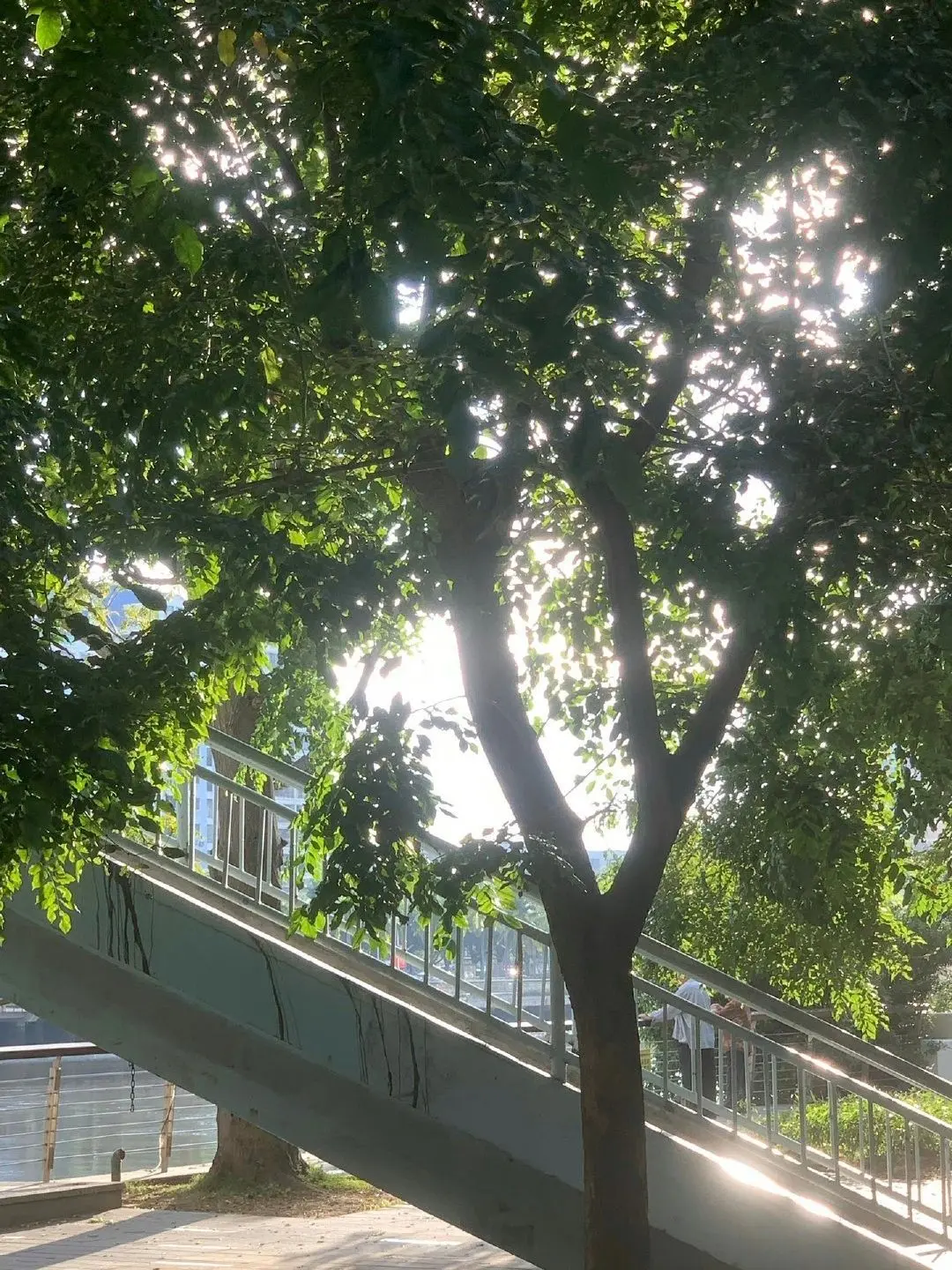 Skrr_0405의 비로 시작된 운명