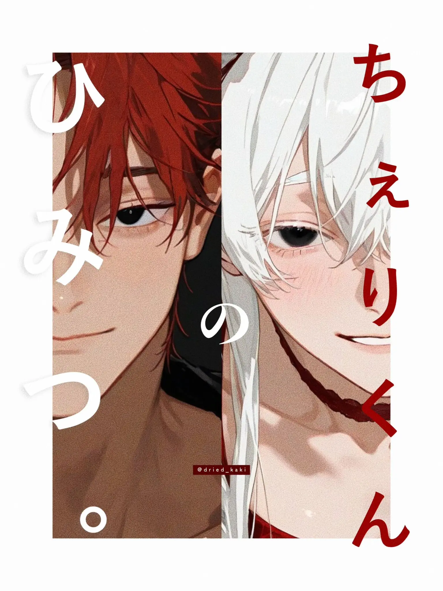 dried_kaki의 ちぇりくんのひみつ。