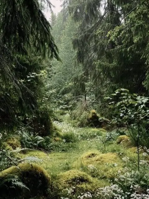 Broken_recorder의 Harpy Hunter
