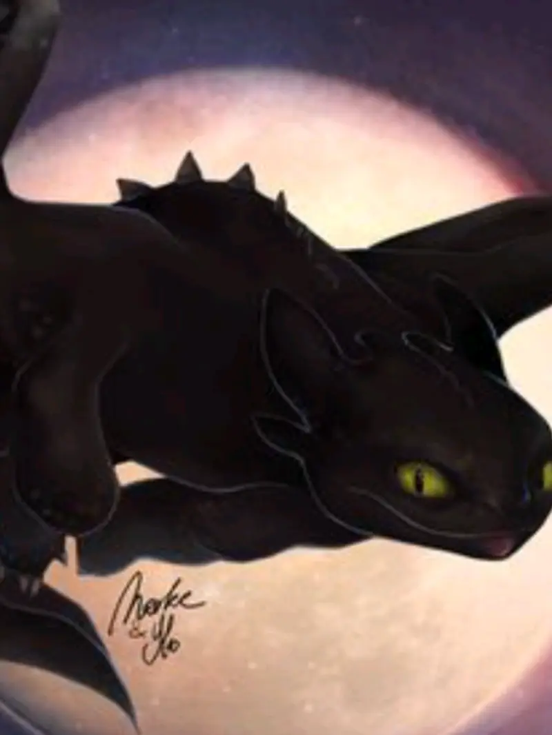 Stillhungry2198의 Another night fury?
