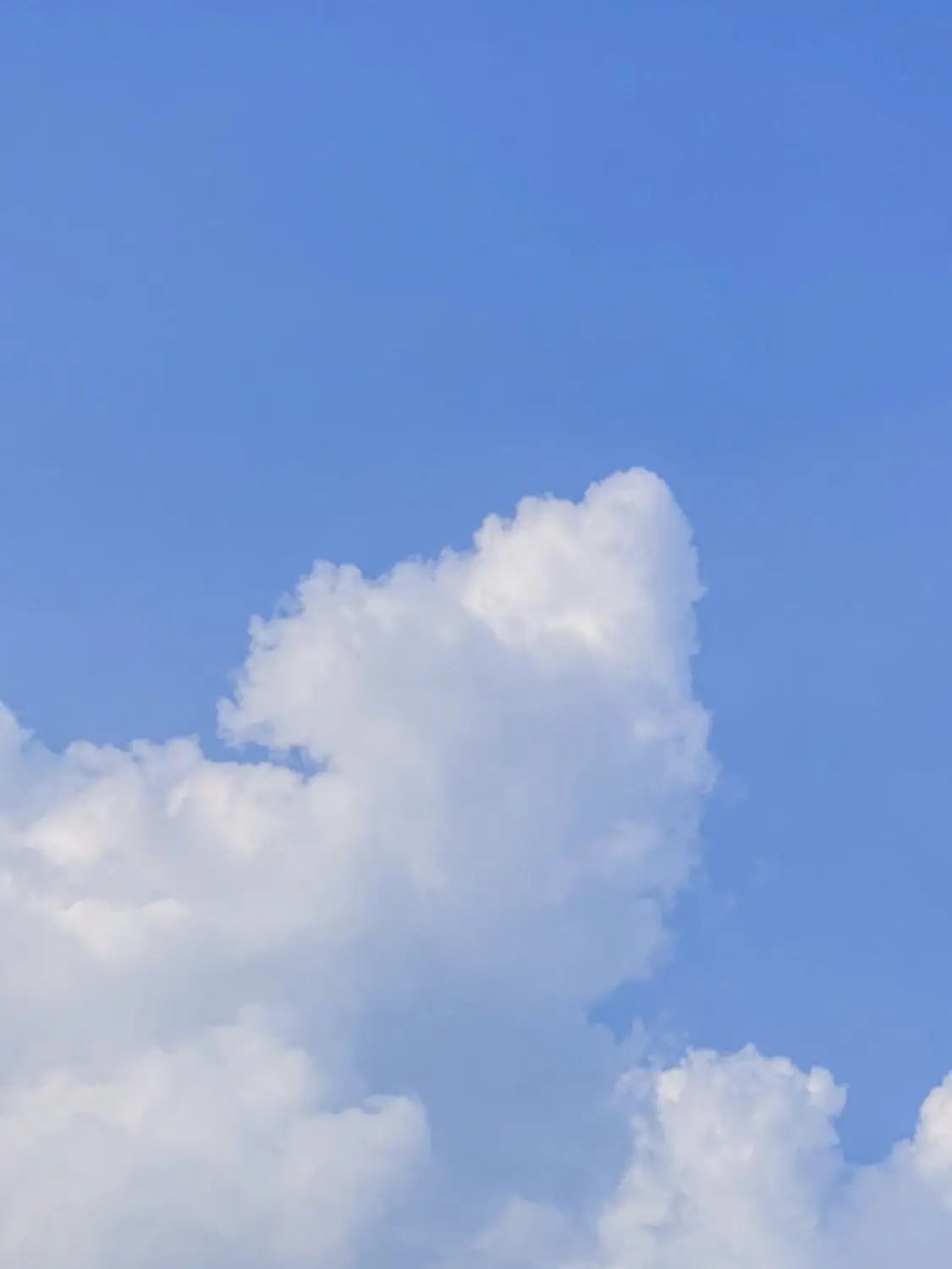 IAN_.의 미스터리 수사반 2