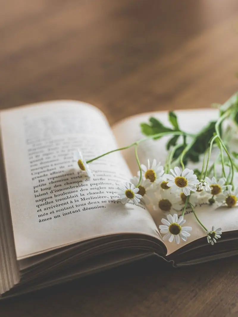 GiddySkin4993의 メンタルケアしてくれる彼氏