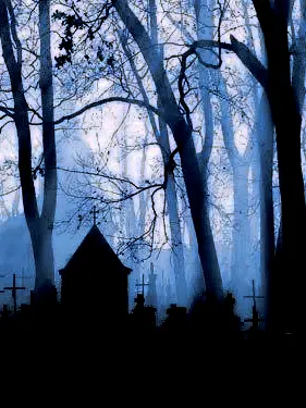 Sylvikimchi의 Where the Void Lingers