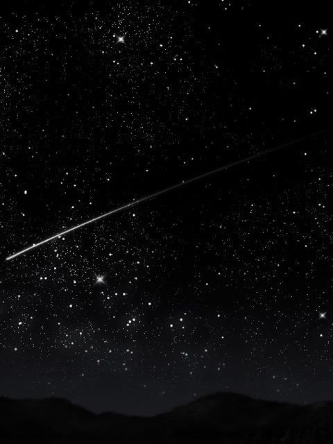 별자리💫 대표 이미지