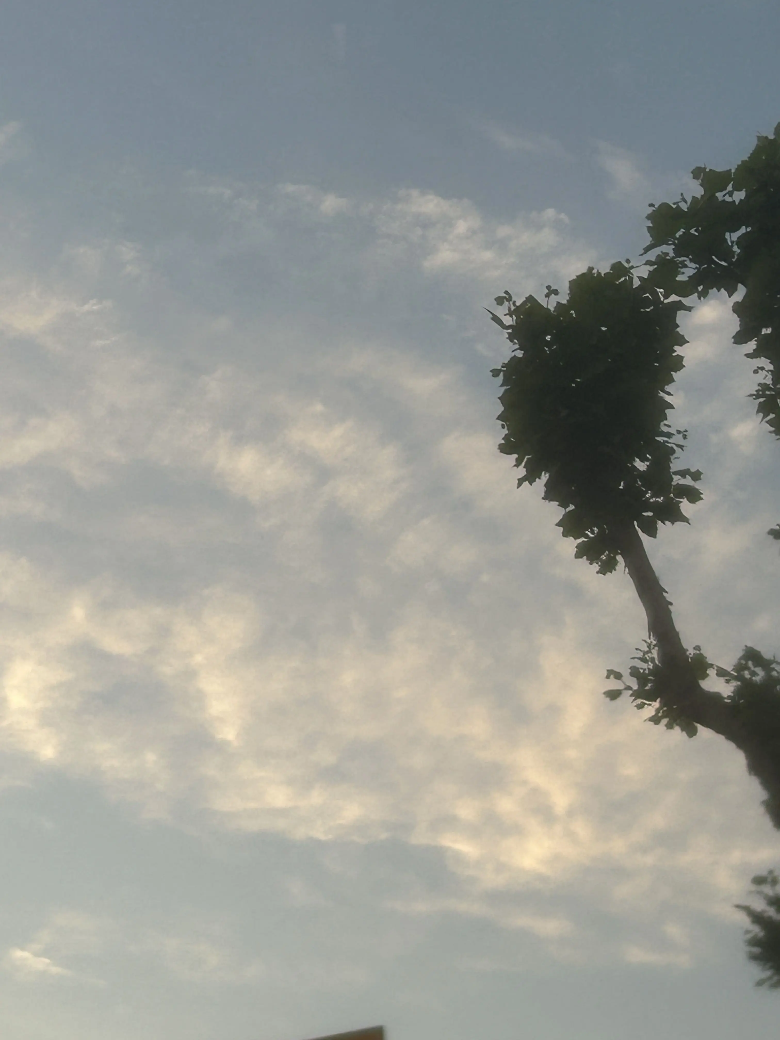 SilverTiger의 빌런과 히어로 학교
