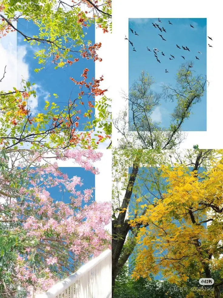 suger-3332의 《계절범죄》- 팀나빠 🌸🌊🍂⛄
