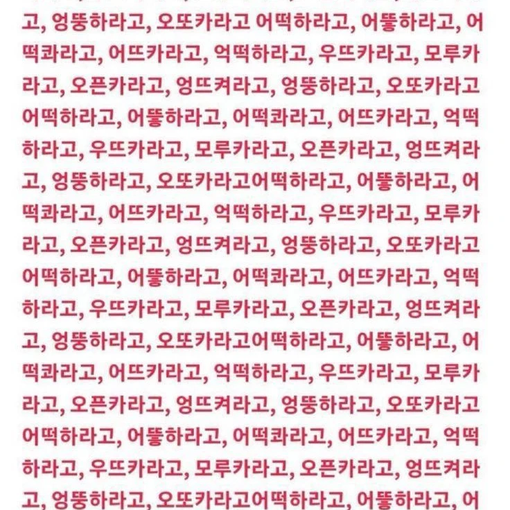 드림회사