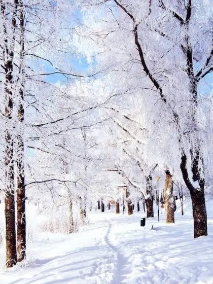 LeanerStudy6642의 이루어진적 없을 사랑