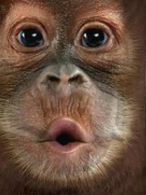 ._m77의 쿄카즈京香