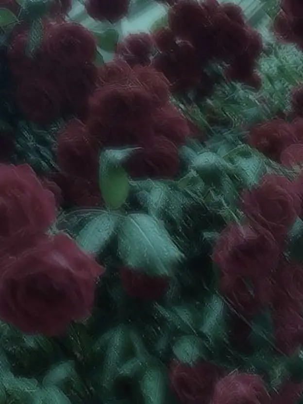 Kurapikaisnowdrowning의 사랑할 수 없었다