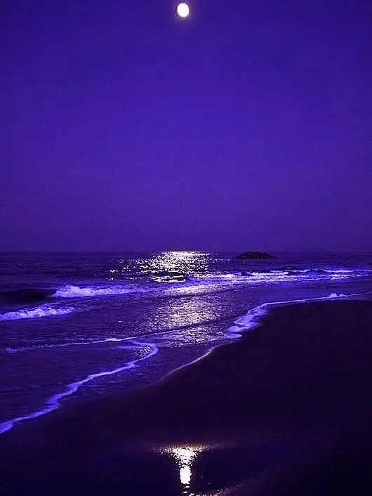 LiveGlove8112의 기유가 취했다..<기유시노>