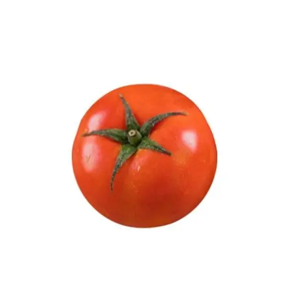 I_loved_you.의 세광공고 걔.