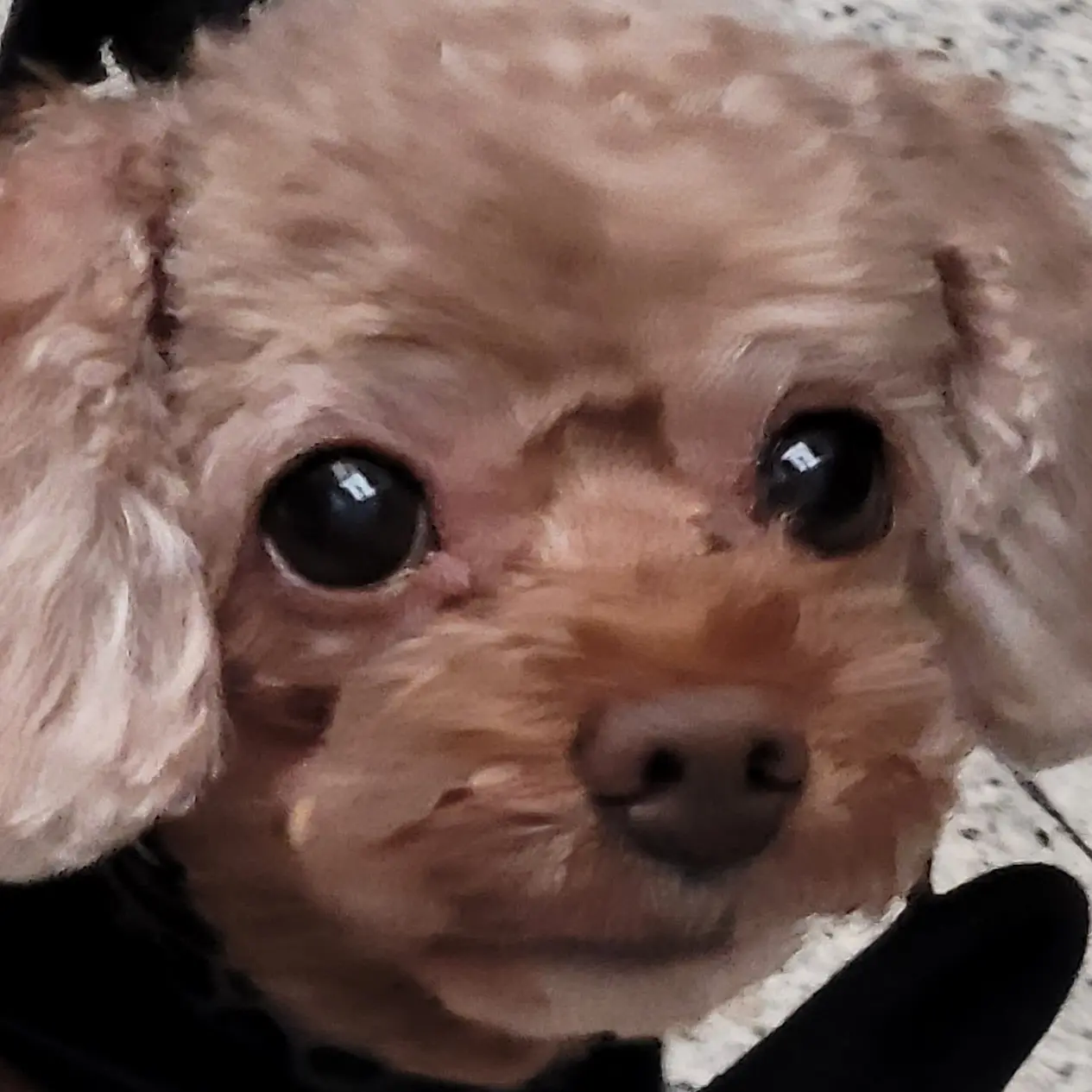 ni0u0n의 리봉 고등학교 ㆍㆍ