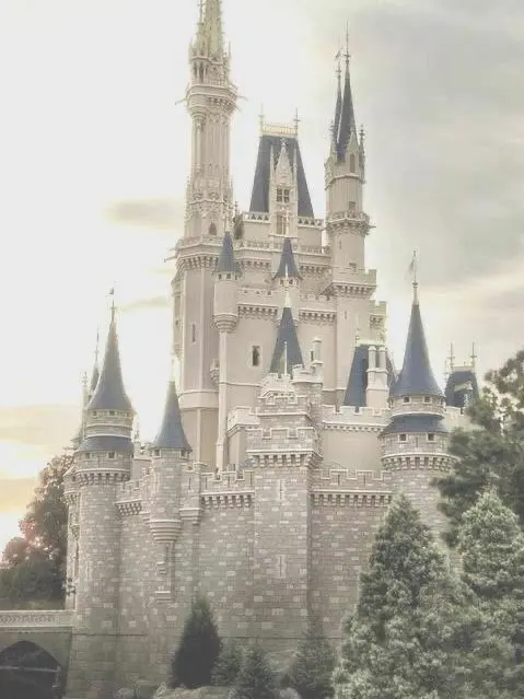 OrangeDebt2183의 뜰팁