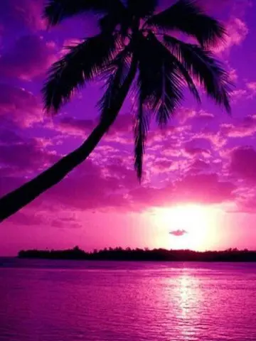 SaltySteel0495의 한노아