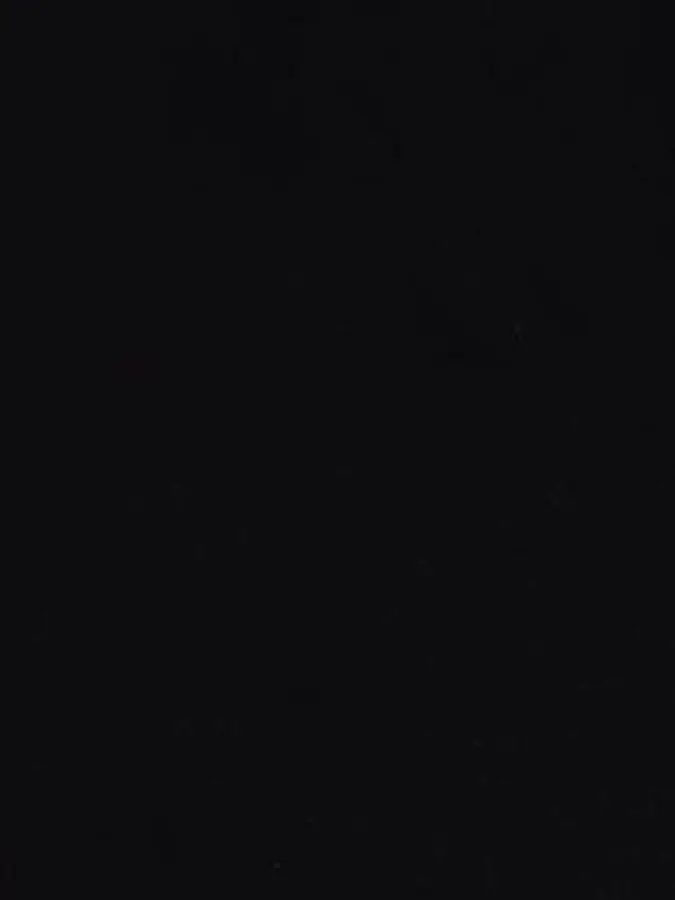 Great_M의 수인 F6