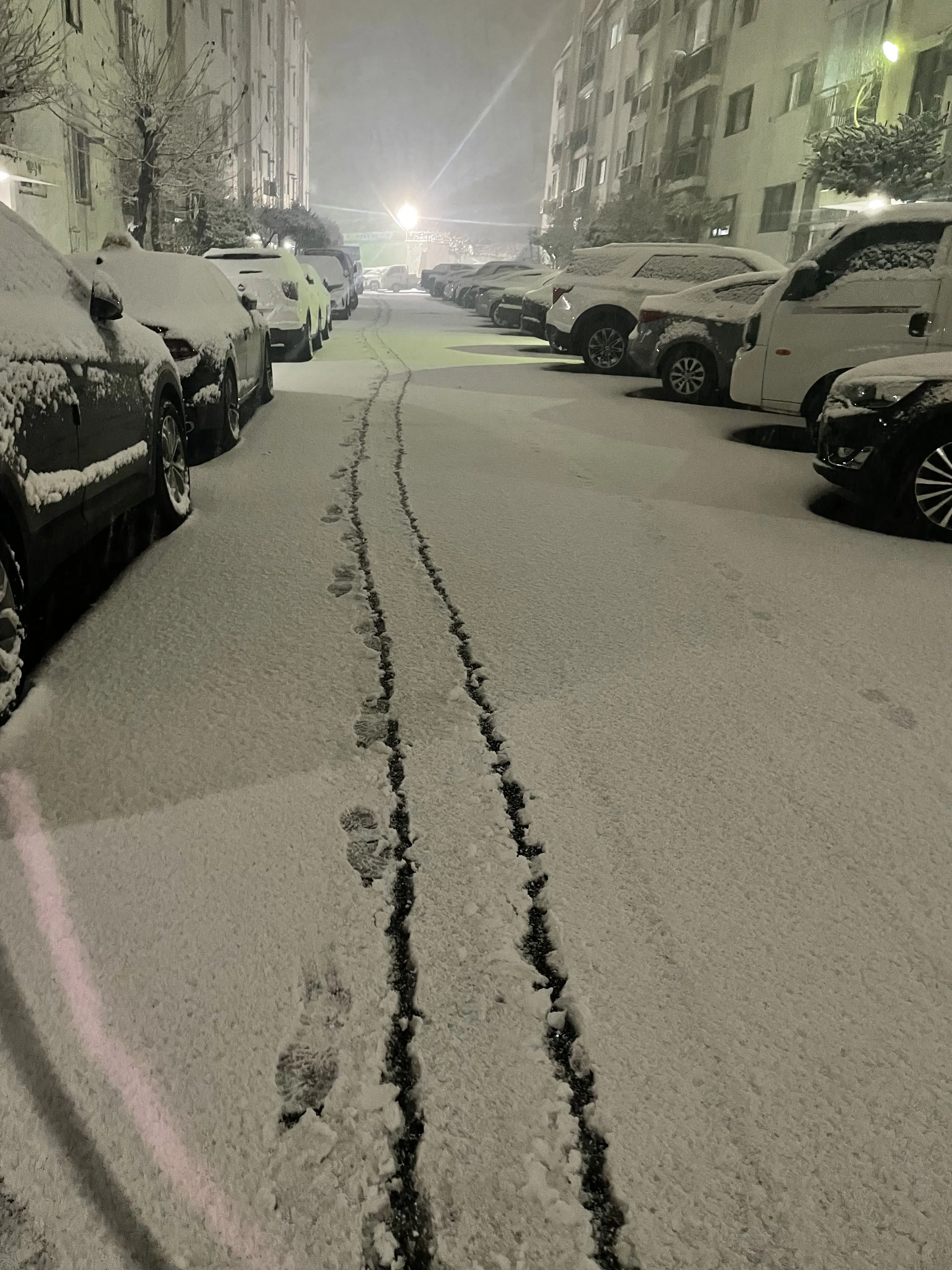 MoodyRobin7620의 뱀파이어 바이러스..?