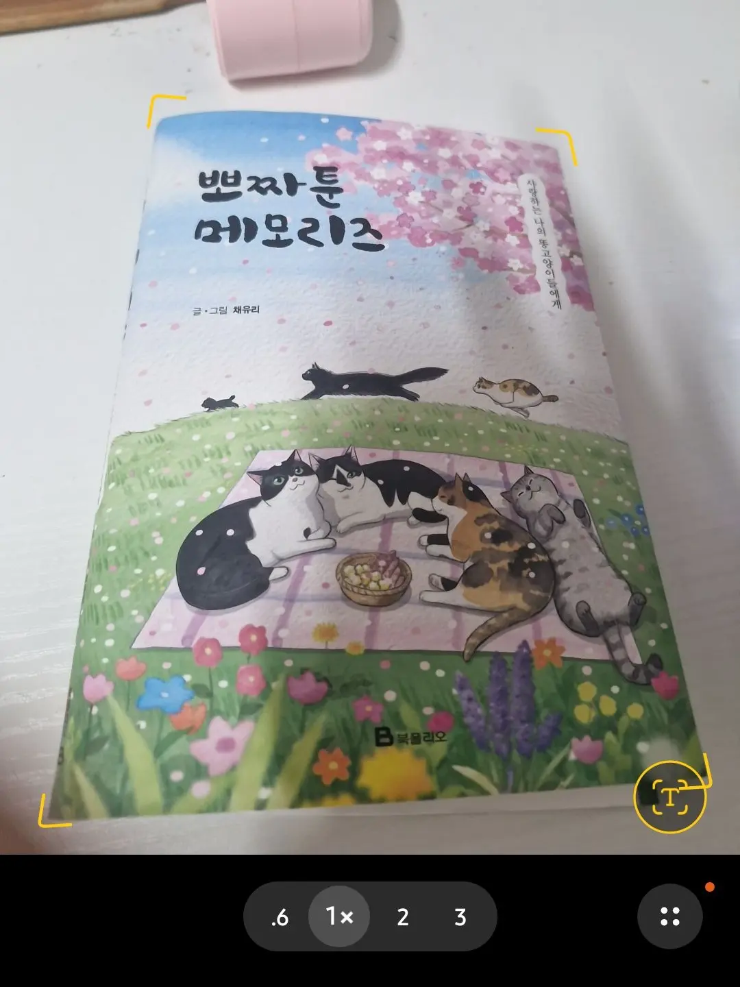 Windy0871의 뽀짜툰