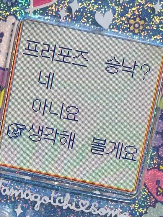 미완성 혼인론 대표 이미지