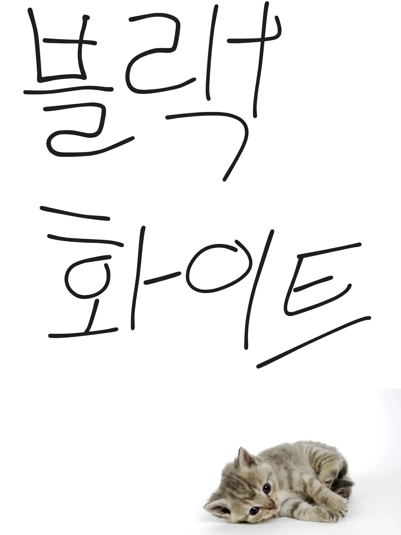 SorryTank382의 블랙&화이트즈