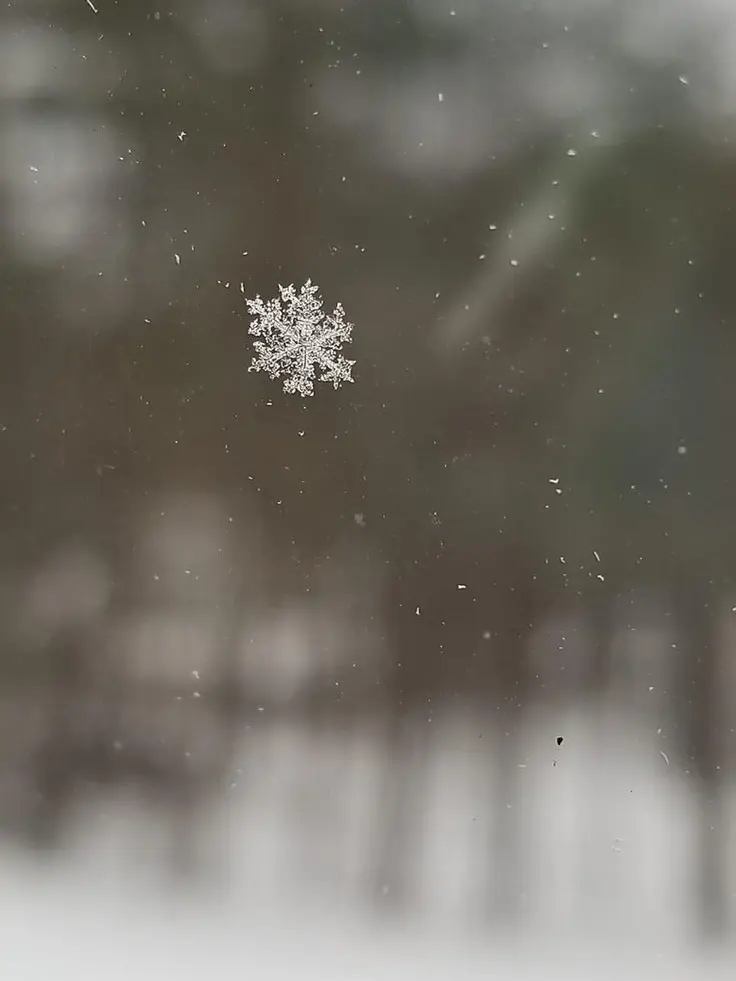 linkong_It_was_this-flowerhyen의 [이루어질 줄은 꿈에도 몰랐네.]