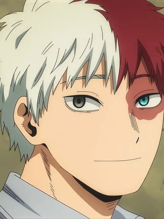 Novachanz의 Shoto Todoroki