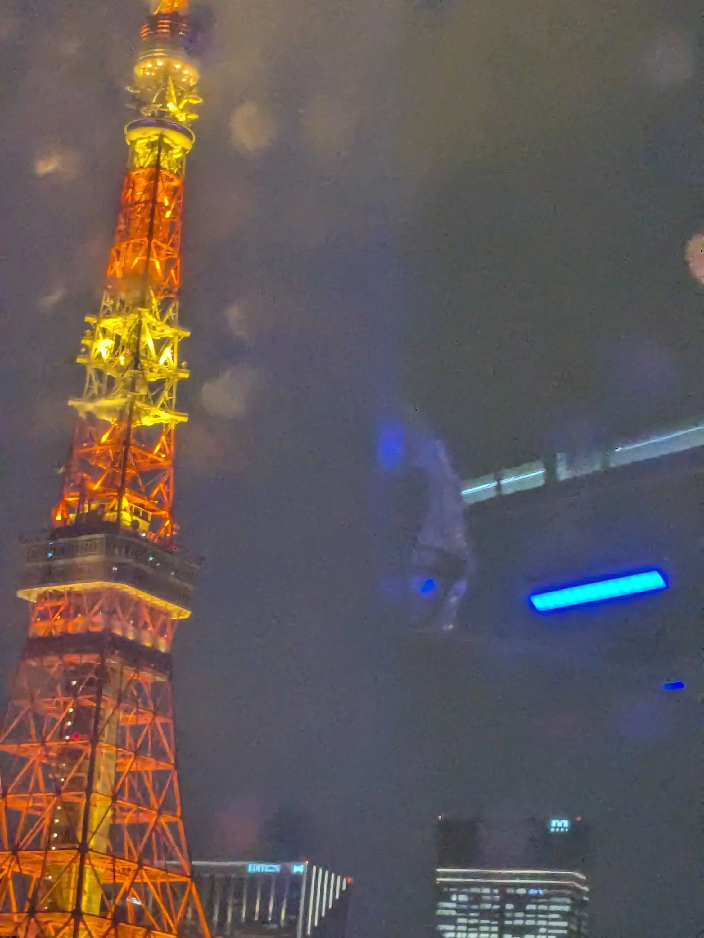 RapierEmber6180의 やら、ないで。