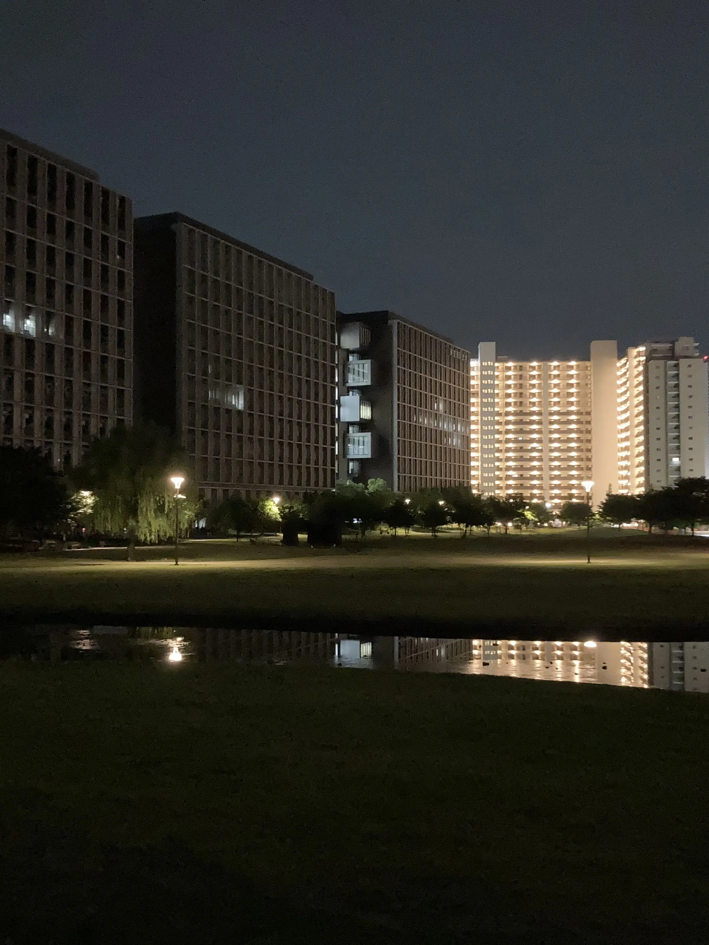 RuggedFlame5544의 FRACTAL