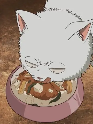 Kanenimnosegakayo의 긴냥이